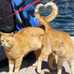 Meet your Posher, Adam